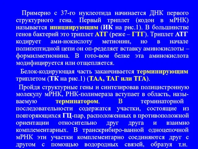 Примерно с 37-го нуклеотида начинается ДНК первого структурного гена. Первый триплет (кодон