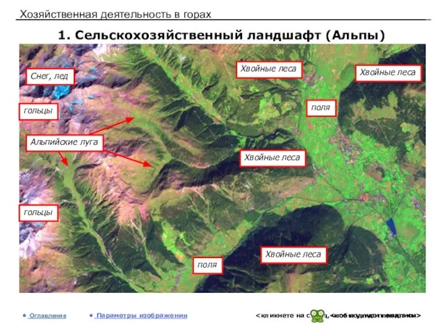 Хозяйственная деятельность в горах 1. Сельскохозяйственный ландшафт (Альпы) Оглавление Параметры изображения Хвойные