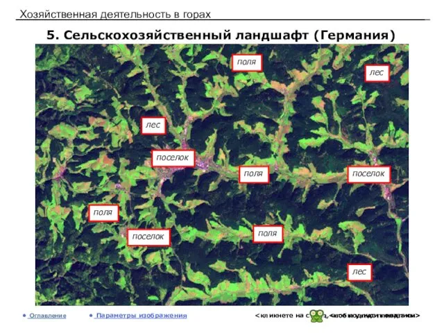 Хозяйственная деятельность в горах 5. Сельскохозяйственный ландшафт (Германия) Оглавление Параметры изображения лес