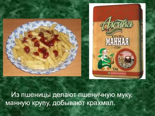 Из пшеницы делают пшеничную муку, манную крупу, добывают крахмал.