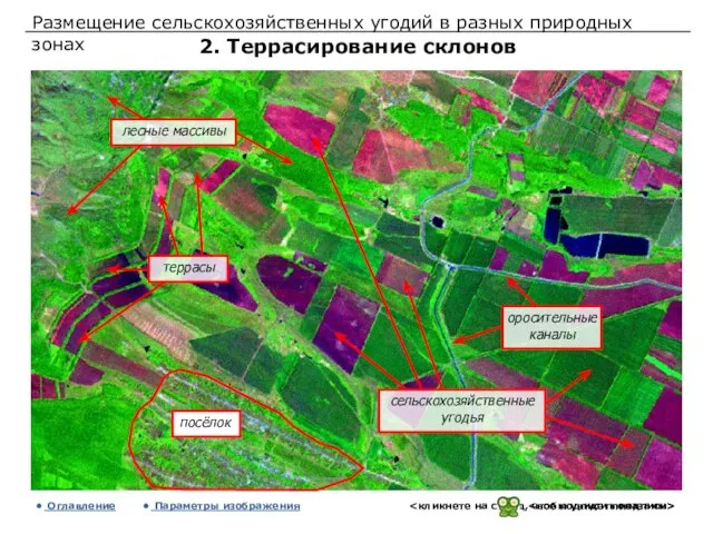 Размещение сельскохозяйственных угодий в разных природных зонах 2. Террасирование склонов Оглавление Параметры изображения