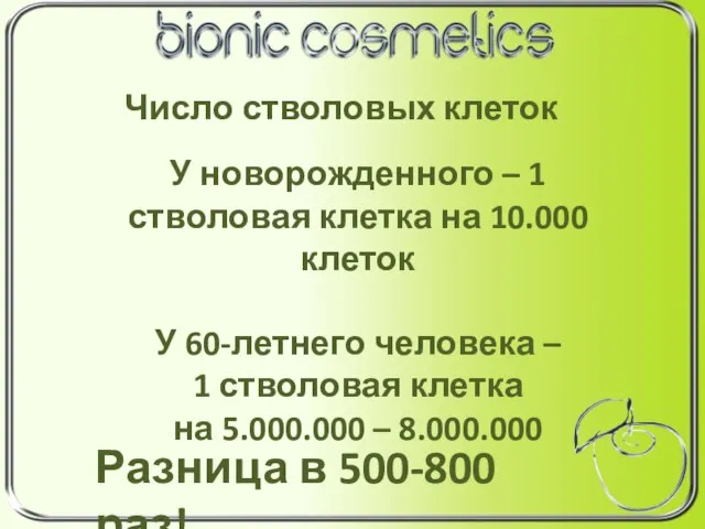 Число стволовых клеток У новорожденного – 1 стволовая клетка на 10.000 клеток