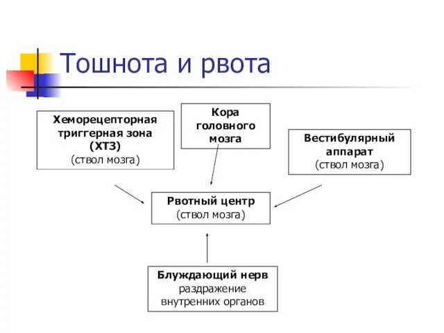 Тошнота и рвота Рвотный центр (ствол мозга) Кора головного мозга Хеморецепторная триггерная