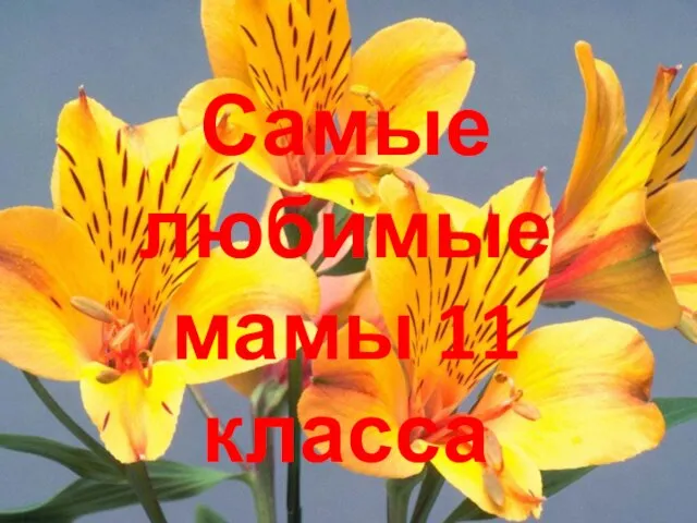 Самые любимые мамы 11 класса