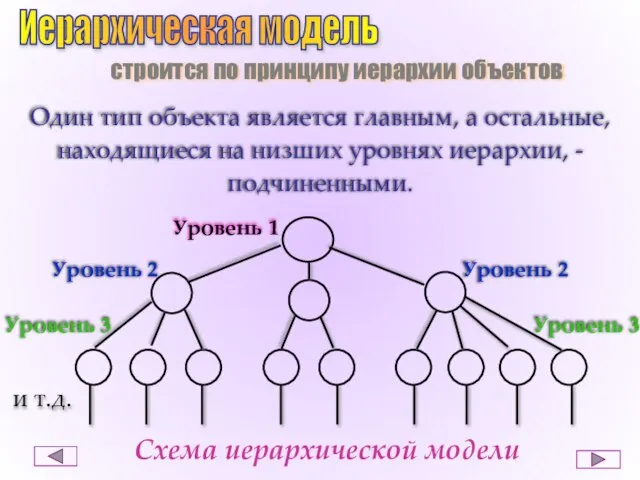 Иерархическая модель строится по принципу иерархии объектов Один тип объекта является главным,