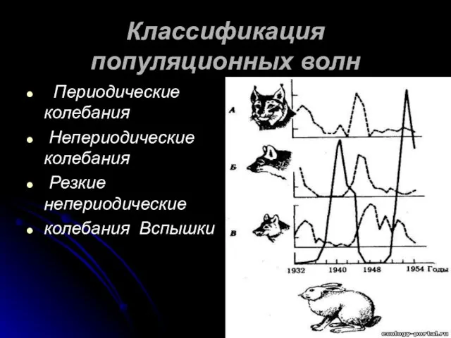 Классификация популяционных волн Периодические колебания Непериодические колебания Резкие непериодические колебания Вспышки