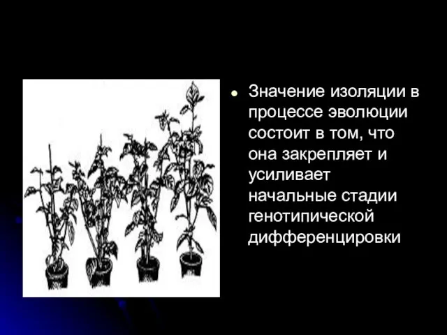 Значение изоляции в процессе эволюции состоит в том, что она закрепляет и