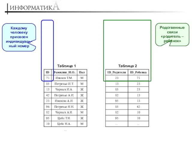 Каждому человеку присвоен индивидуаль-ный номер Родственные связи «родитель – ребенок»