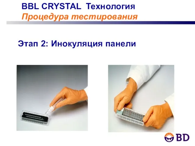 BBL CRYSTAL Технология Процедура тестирования Этап 2: Инокуляция панели