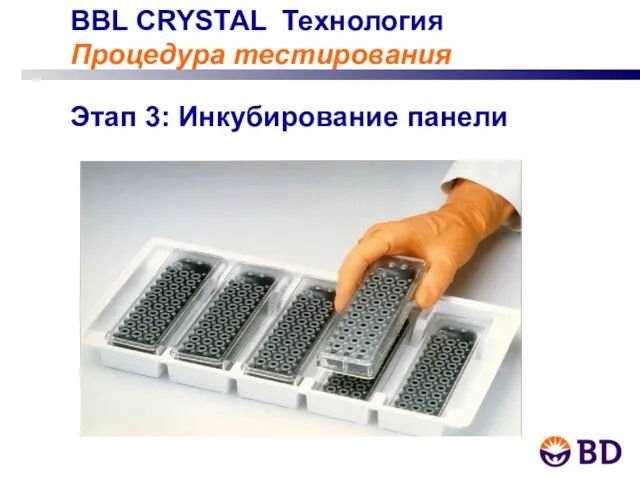 BBL CRYSTAL Технология Процедура тестирования Этап 3: Инкубирование панели