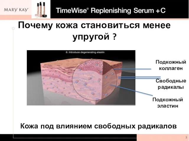 Почему кожа становиться менее упругой ? Свободные радикалы Подкожный коллаген Подкожный эластин