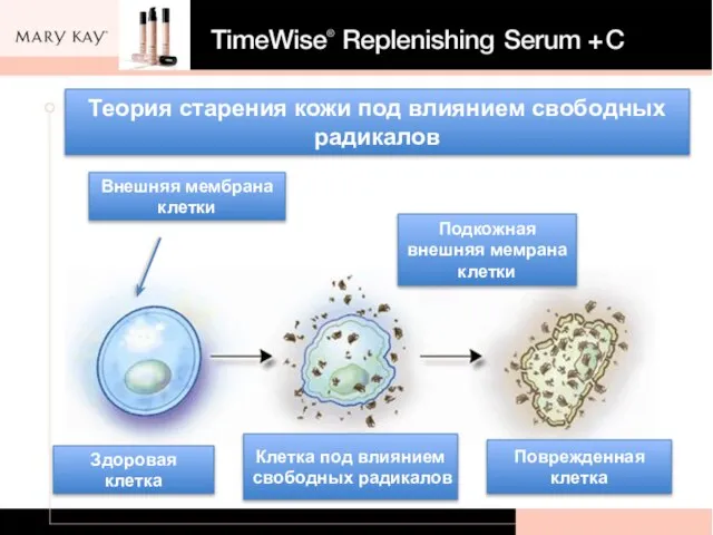 Теория старения кожи под влиянием свободных радикалов Здоровая клетка Клетка под влиянием