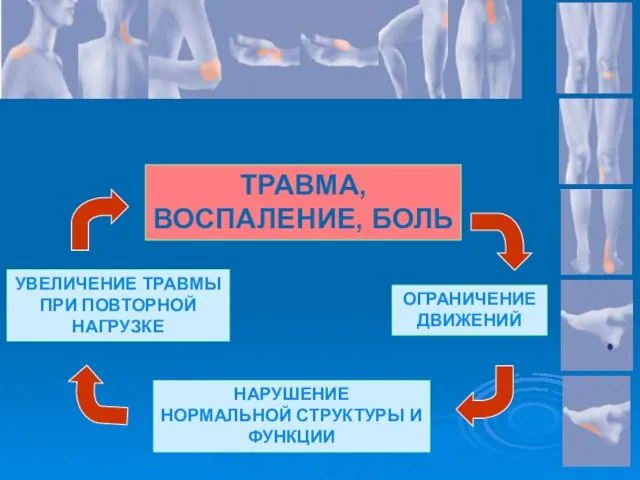 НАРУШЕНИЕ НОРМАЛЬНОЙ СТРУКТУРЫ И ФУНКЦИИ ОГРАНИЧЕНИЕ ДВИЖЕНИЙ ТРАВМА, ВОСПАЛЕНИЕ, БОЛЬ УВЕЛИЧЕНИЕ ТРАВМЫ ПРИ ПОВТОРНОЙ НАГРУЗКЕ