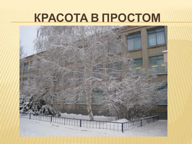 КРАСОТА В ПРОСТОМ