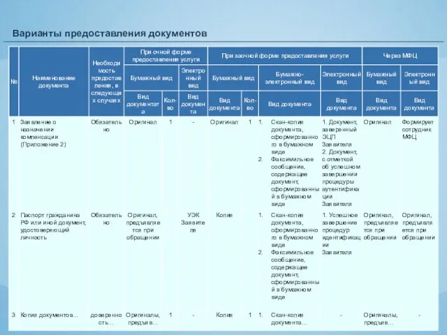 Варианты предоставления документов