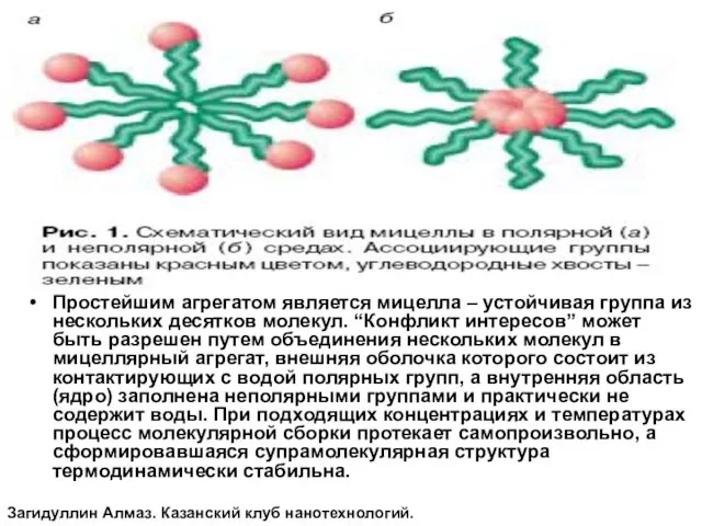 Простейшим агрегатом является мицелла – устойчивая группа из нескольких десятков молекул. “Конфликт