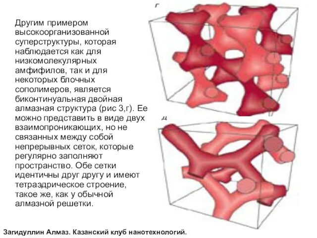 Другим примером высокоорганизованной суперструктуры, которая наблюдается как для низкомолекулярных амфифилов, так и