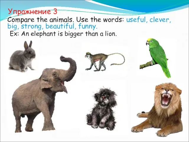 Упражнение 3 Compare the animals. Use the words: useful, clever, big, strong,