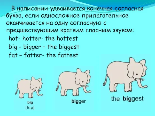 В написании удваивается конечная согласная буква, если односложное прилагательное оканчивается на одну