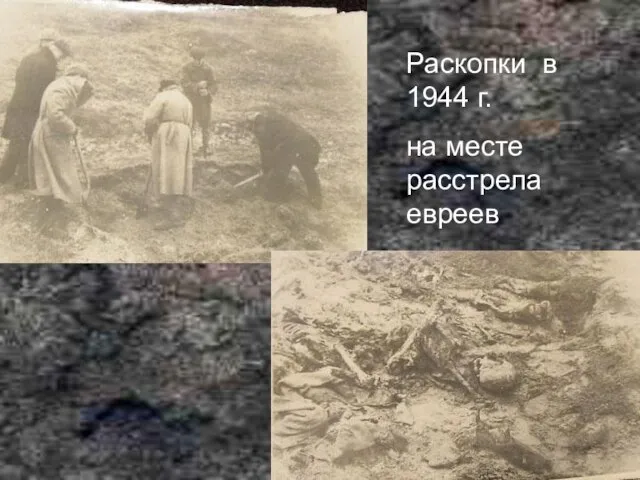 Раскопки в 1944 г. на месте расстрела евреев