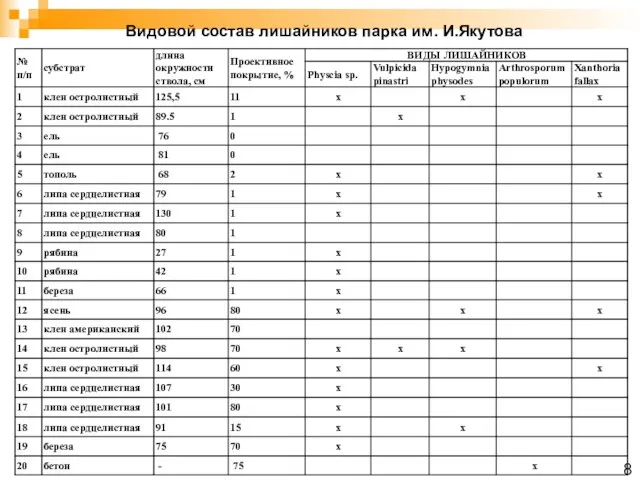 Видовой состав лишайников парка им. И.Якутова 8