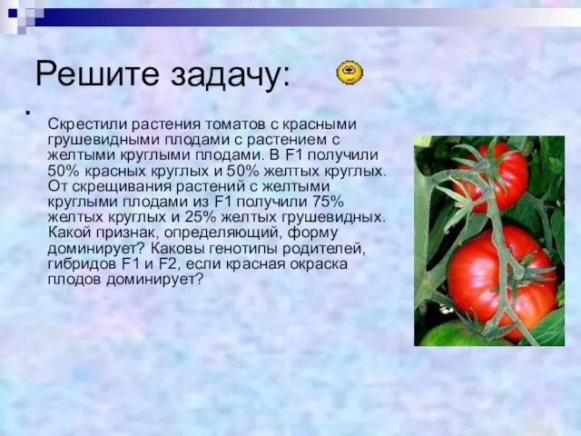 Решите задачу: Скрестили растения томатов с красными грушевидными плодами с растением с
