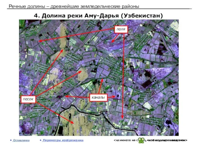 Речные долины – древнейшие земледельческие районы 4. Долина реки Аму-Дарья (Узбекистан) Оглавление Параметры изображения