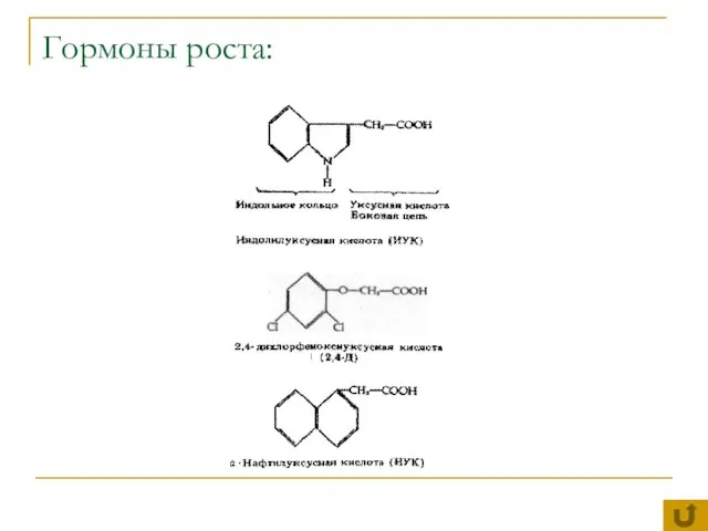 Гормоны роста: