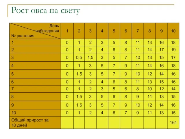 Рост овса на свету