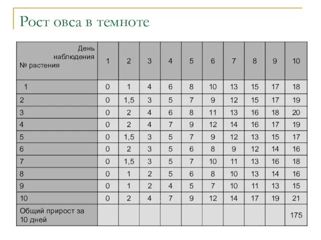 Рост овса в темноте .