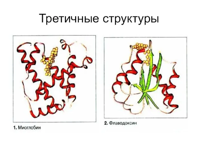 Третичные структуры