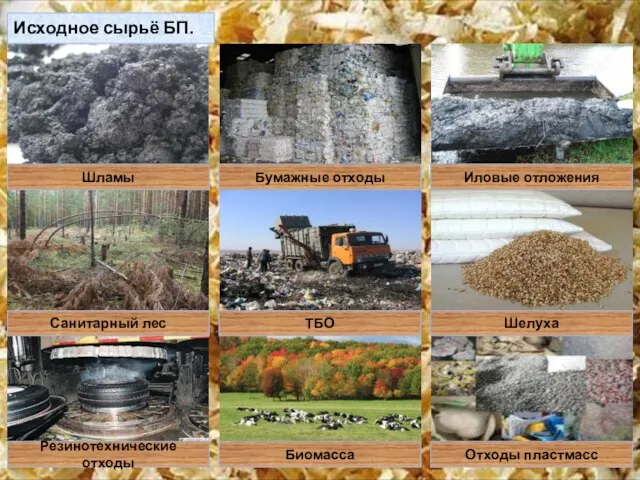 Исходное сырьё БП. Шламы Санитарный лес Отходы пластмасс ТБО Шелуха Резинотехнические отходы