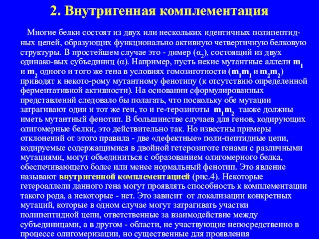 2. Внутригенная комплементация Многие белки состоят из двух или нескольких идентичных полипептид-ных