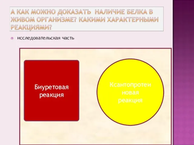 исследовательская часть Биуретовая реакция Ксантопротеиновая реакция