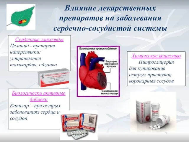 Химическое вещество Нитроглицерин для купирования острых приступов коронарных сосудов Сердечные гликозиды Целанид