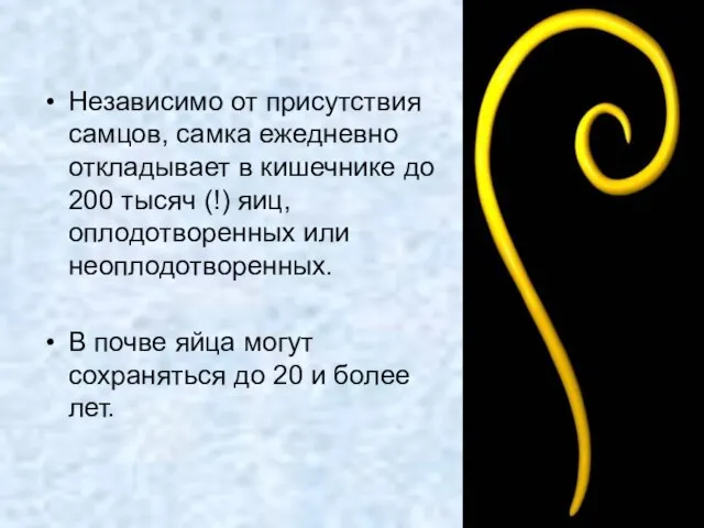 Независимо от присутствия самцов, самка ежедневно откладывает в кишечнике до 200 тысяч