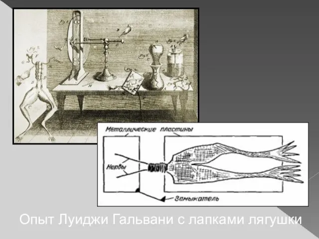 Опыт Луиджи Гальвани с лапками лягушки