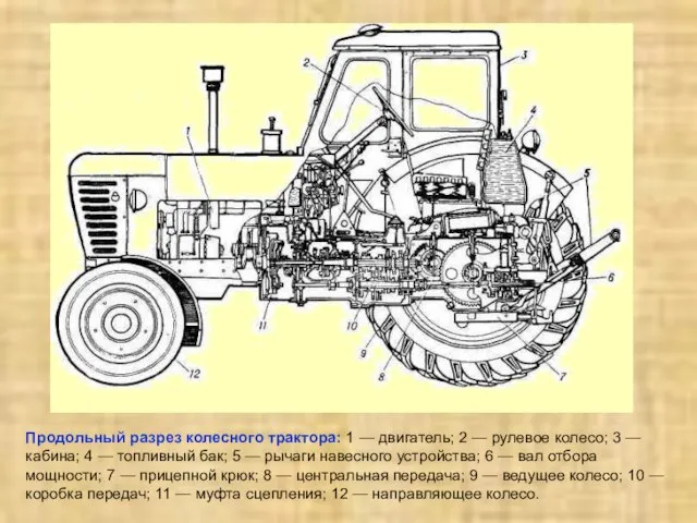 Продольный разрез колесного трактора: 1 — двигатель; 2 — рулевое колесо; 3