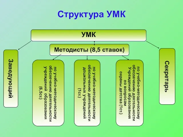 Структура УМК Заведующий Методисты (8,5 ставок) УМК Секретарь по учебно-методическому обеспечению деятельности