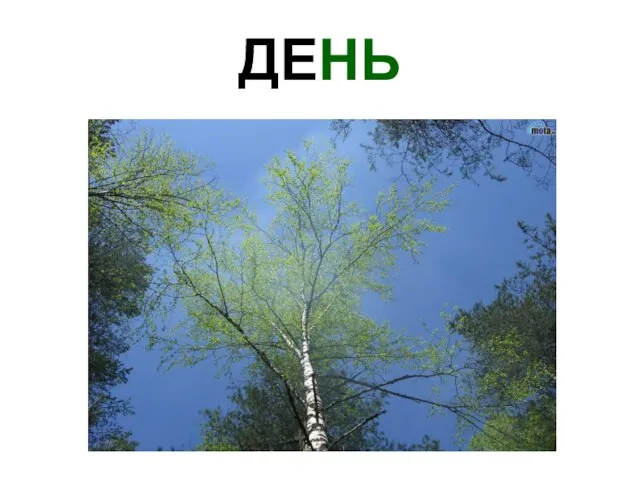 ДЕНЬ