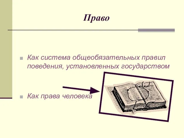 Право Как система общеобязательных правил поведения, установленных государством Как права человека