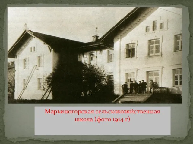 Марьиногорская сельскохозяйственная школа (фото 1914 г)