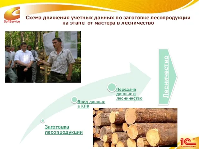 Схема движения учетных данных по заготовке лесопродукции на этапе от мастера в лесничество Лесничество