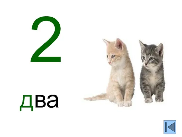 2 два