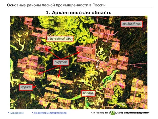 Основные районы лесной промышленности в России 1. Архангельская область Оглавление Параметры изображения