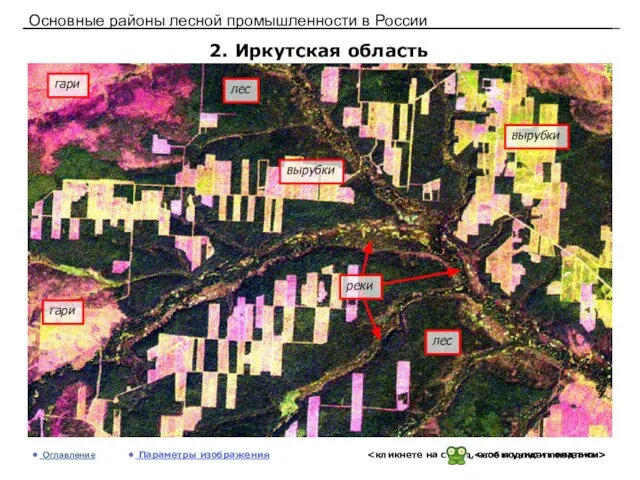 Основные районы лесной промышленности в России 2. Иркутская область Оглавление Параметры изображения