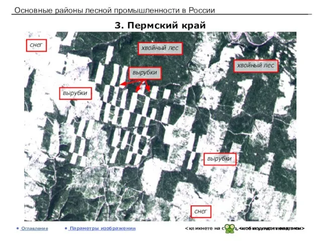 Основные районы лесной промышленности в России 3. Пермский край Оглавление Параметры изображения
