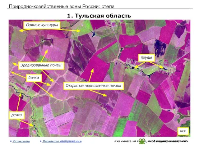 Природно-хозяйственные зоны России: степи 1. Тульская область Оглавление Параметры изображения лес