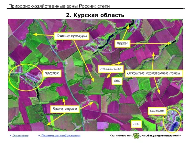 Природно-хозяйственные зоны России: степи 2. Курская область Оглавление Параметры изображения лес лес