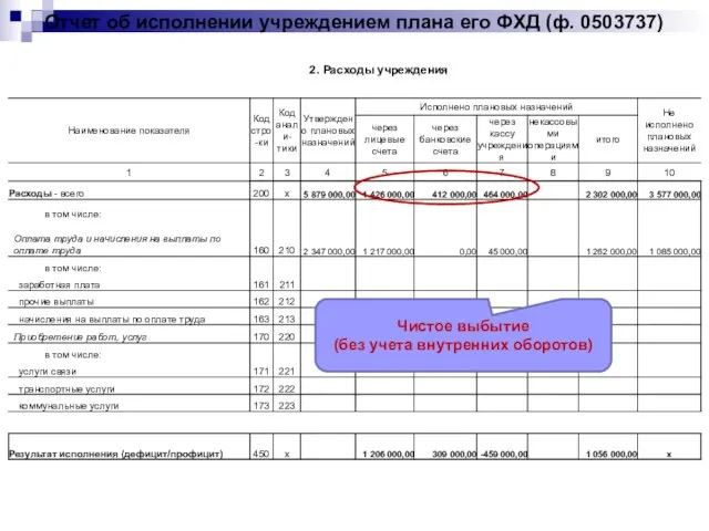 Отчет об исполнении учреждением плана его ФХД (ф. 0503737) Чистое выбытие (без учета внутренних оборотов)